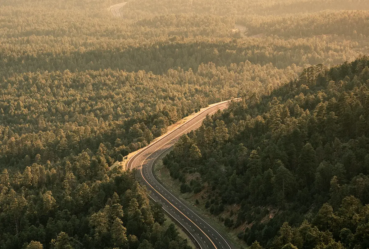 Les drivers professionnels