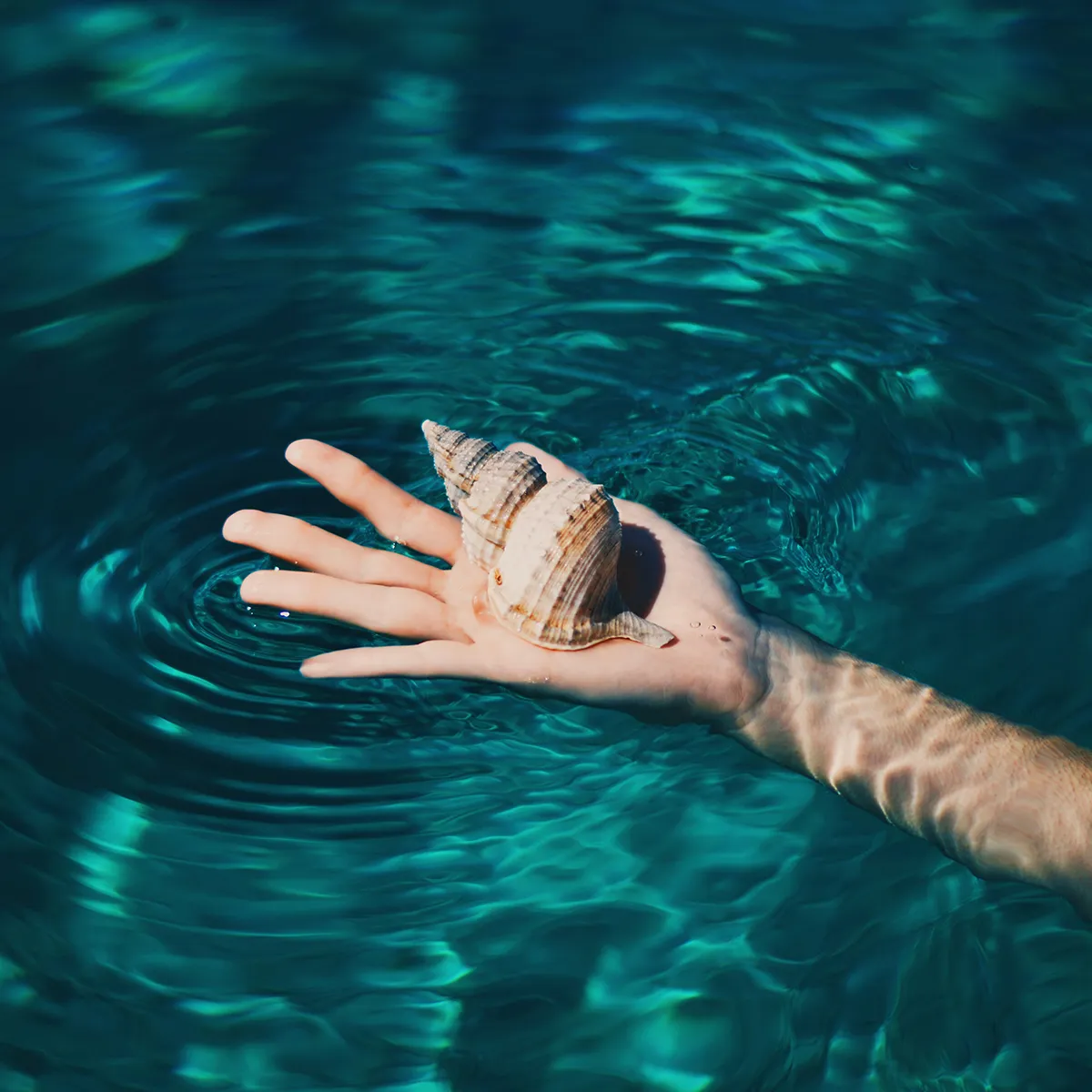 Communication et PCM