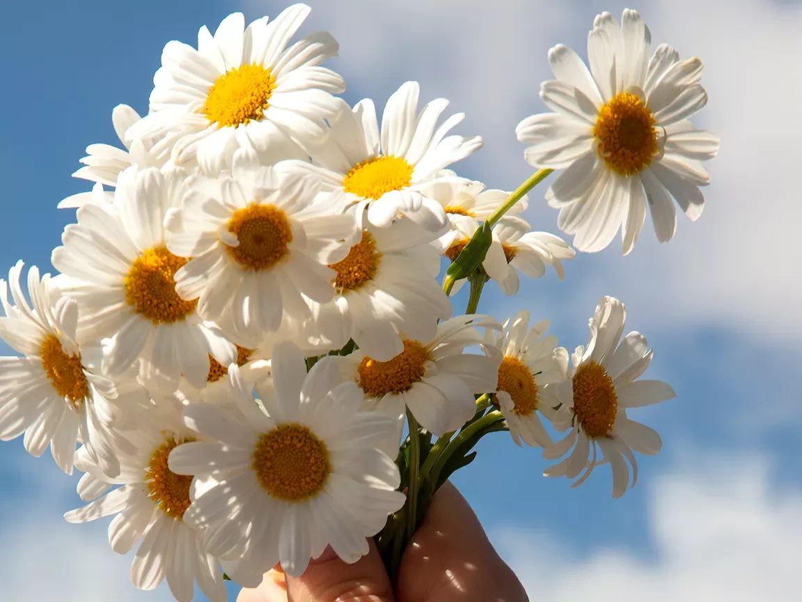 Qualité de vie au travail à l'hôpital